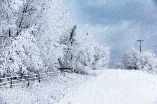 After the Fog Lifted