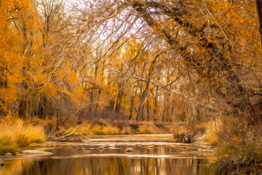 Beneath Amber Arches