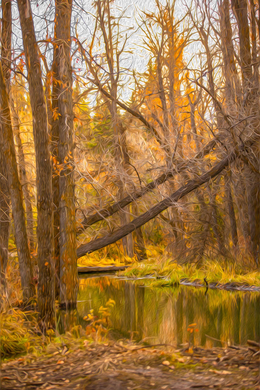 Fish Creek Reflections