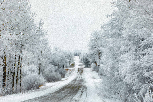 Frosted Country Lane