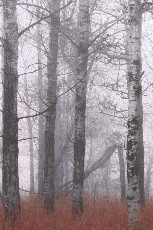 Sleeping Birches Trilogy - 2