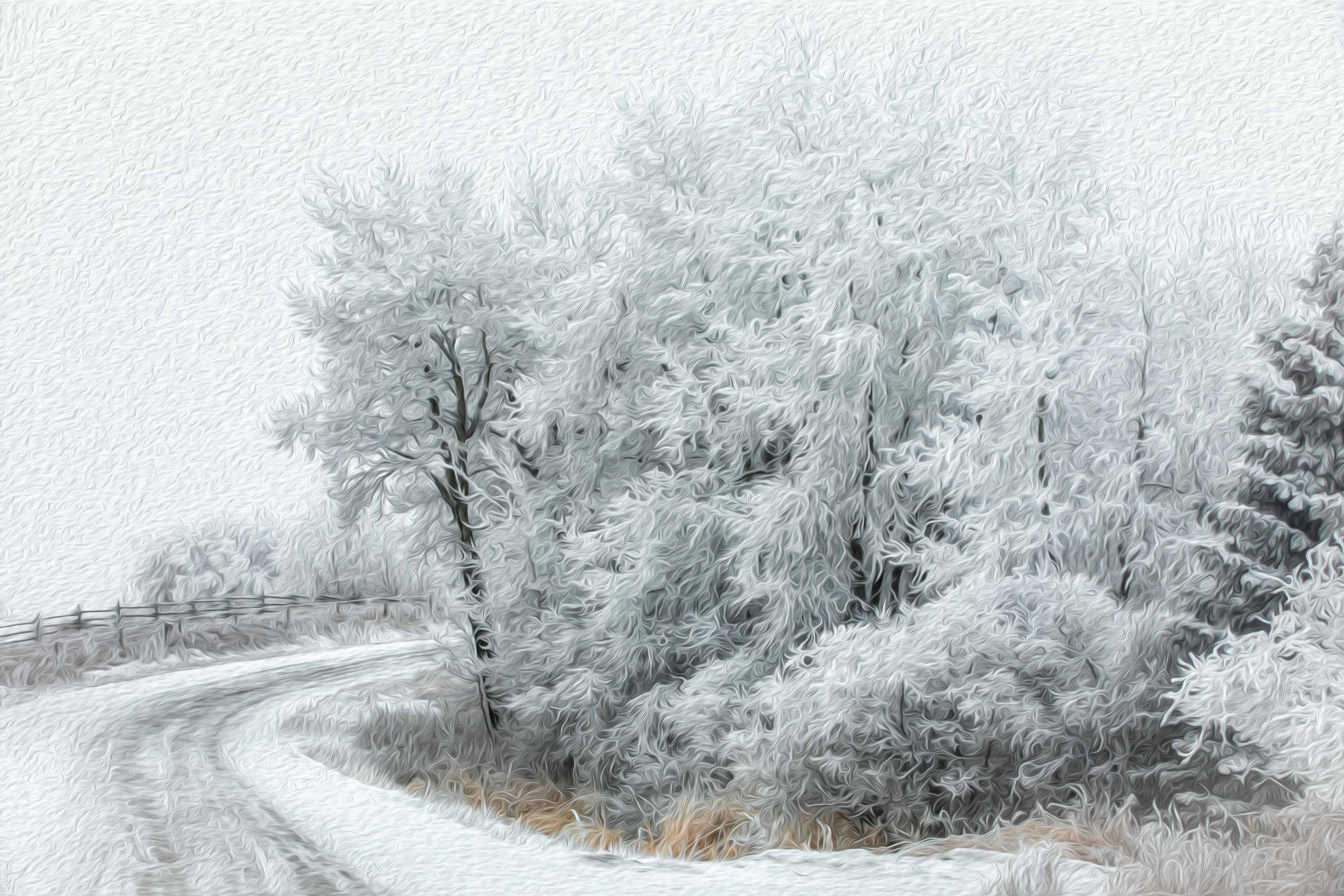 A fine art photograph of a snow covered wintery curve surrounding a stand of frost covered trees and bushes