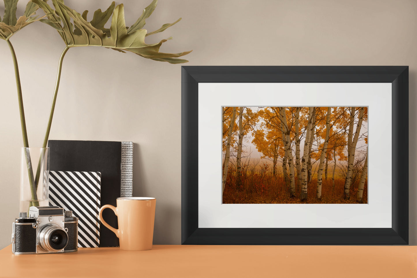 Quaking Aspen