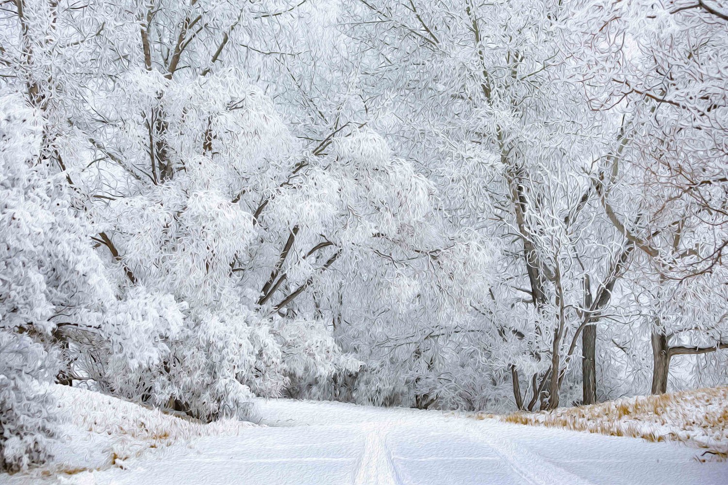 Winterscapes