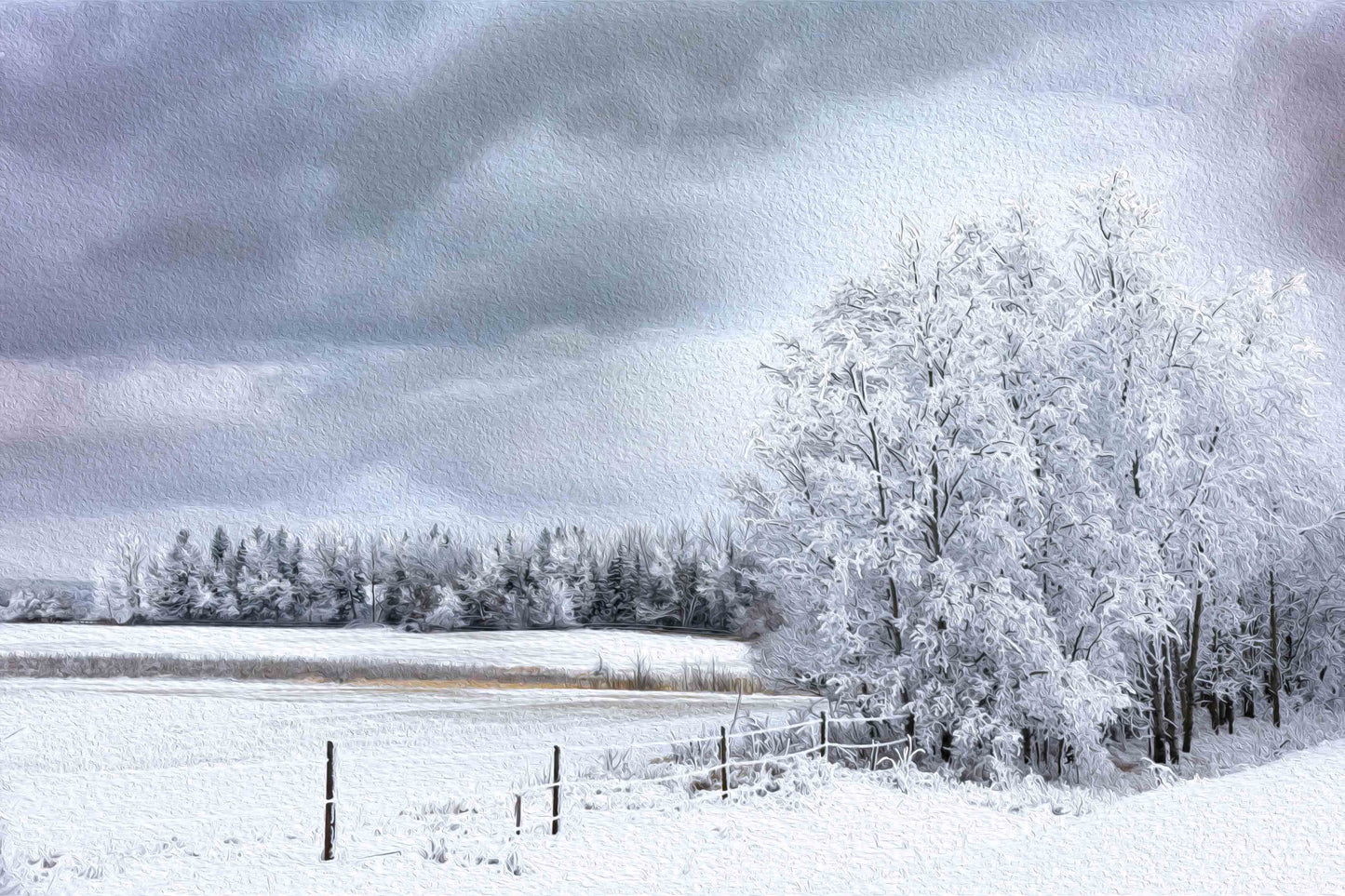 A Stand of Pines