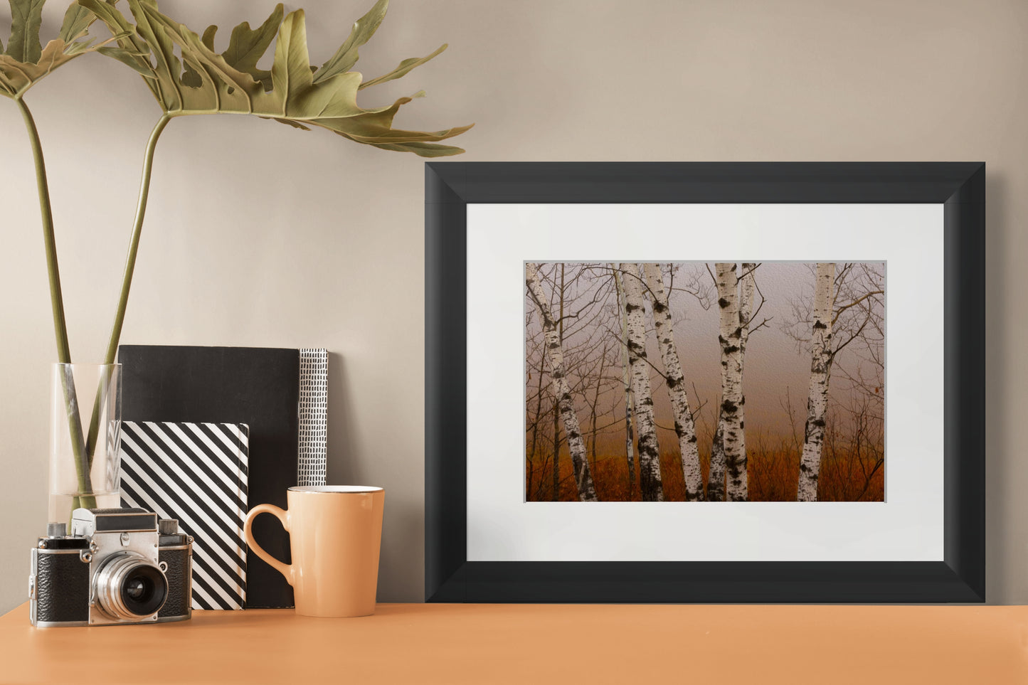 Fall Birch Trio - 1