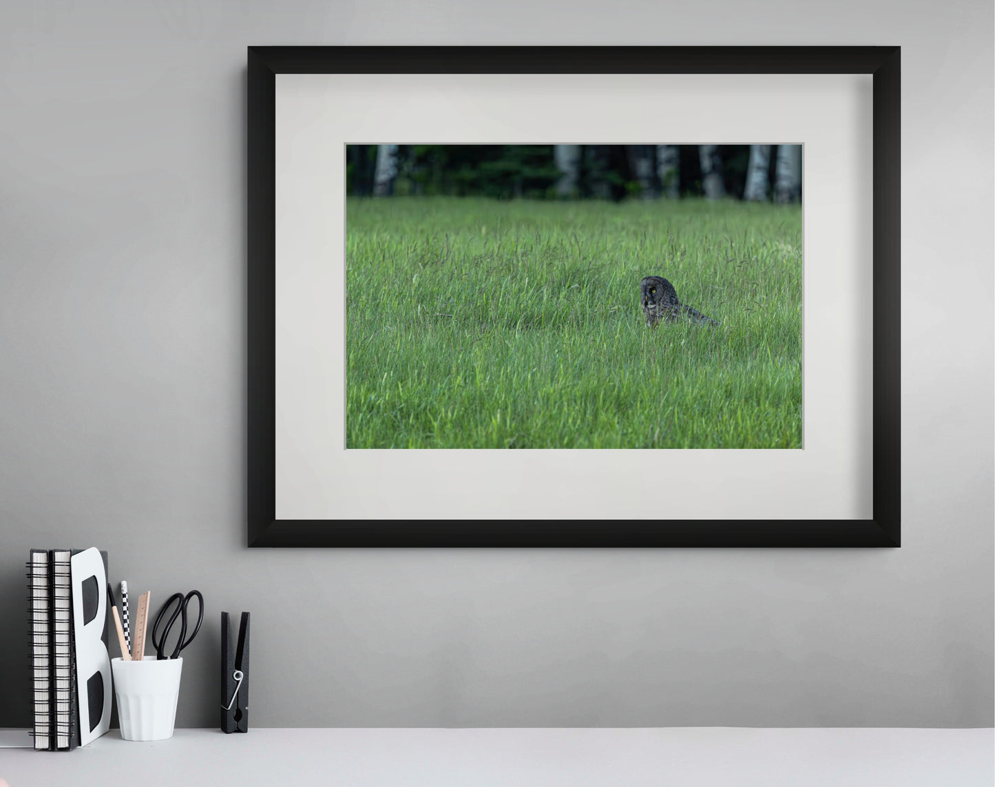 Great Grey 1038