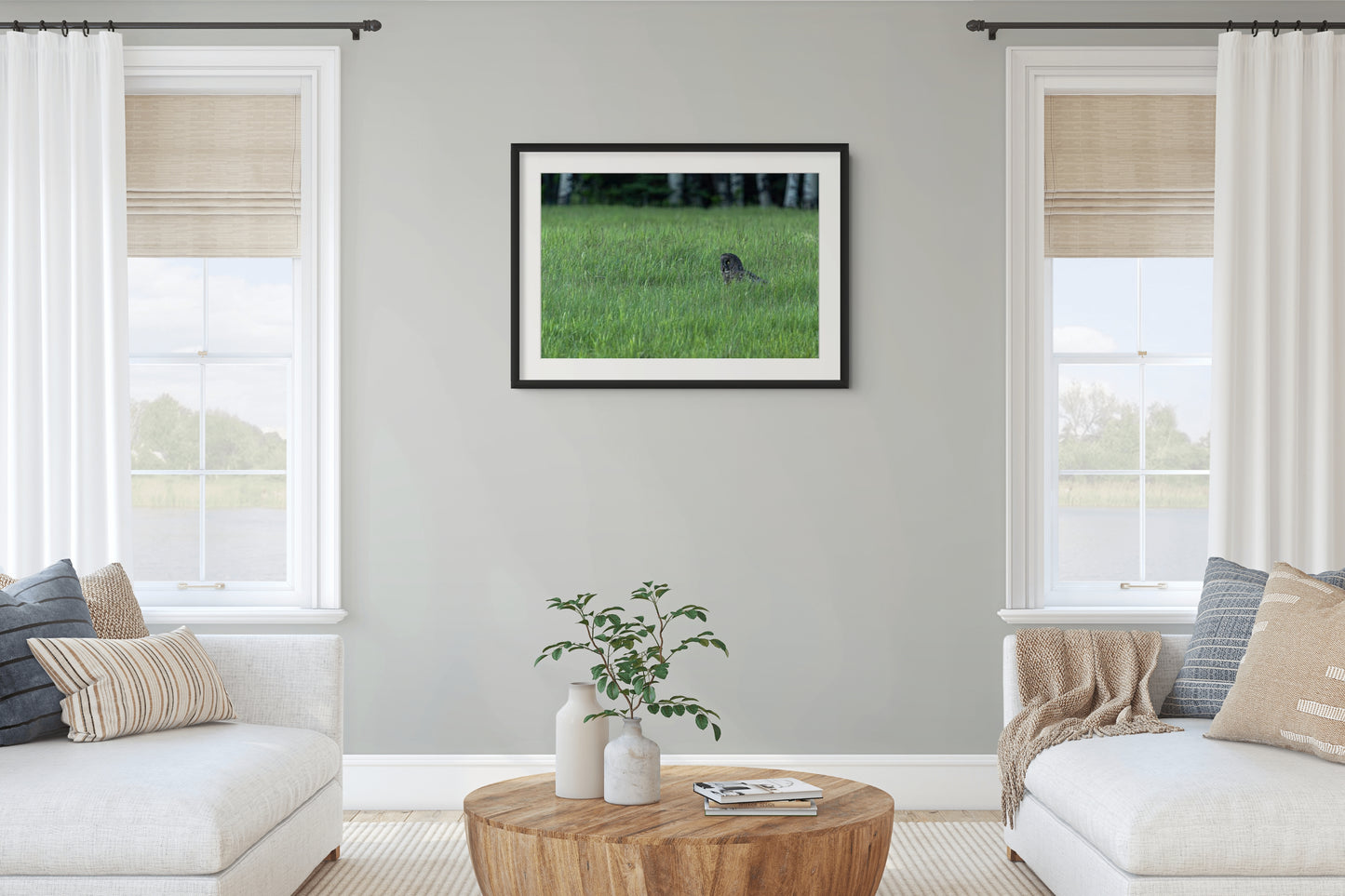 Great Grey 1038