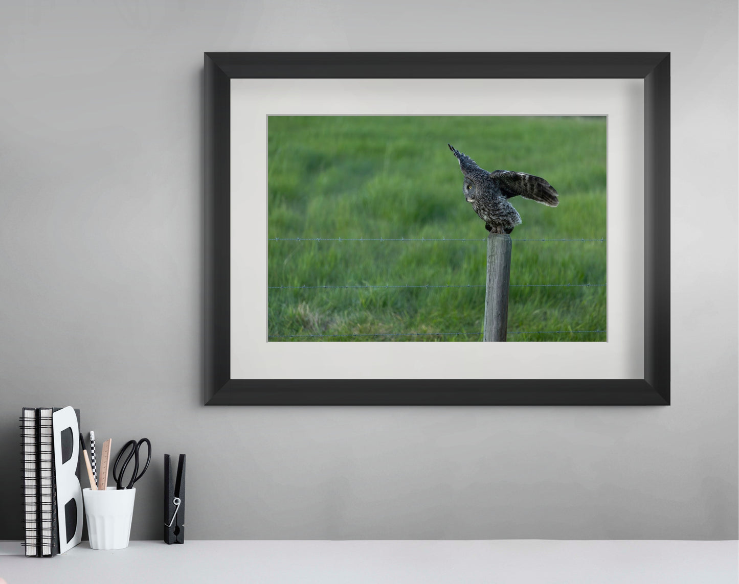 Great Grey 1106