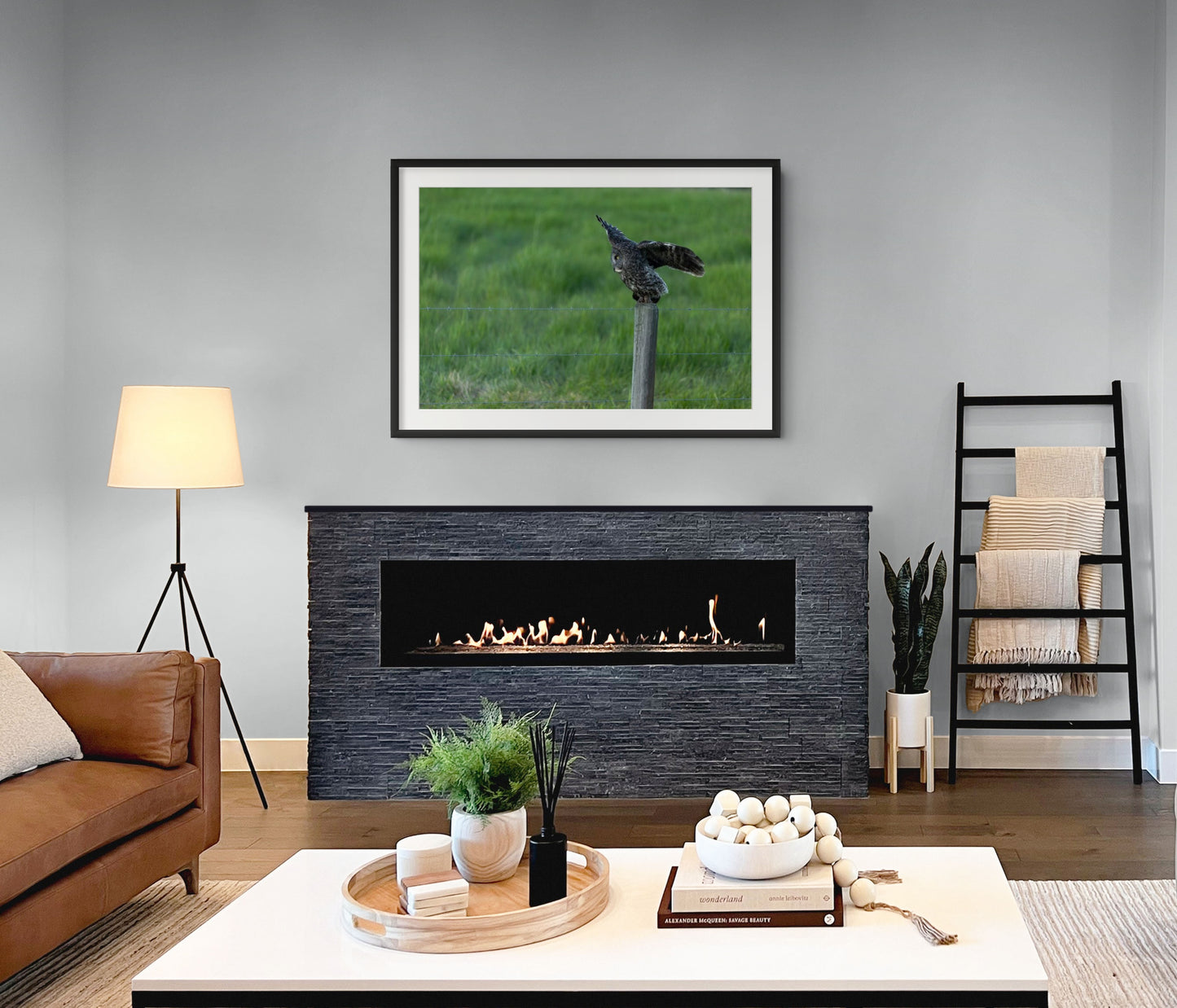 Great Grey 1106