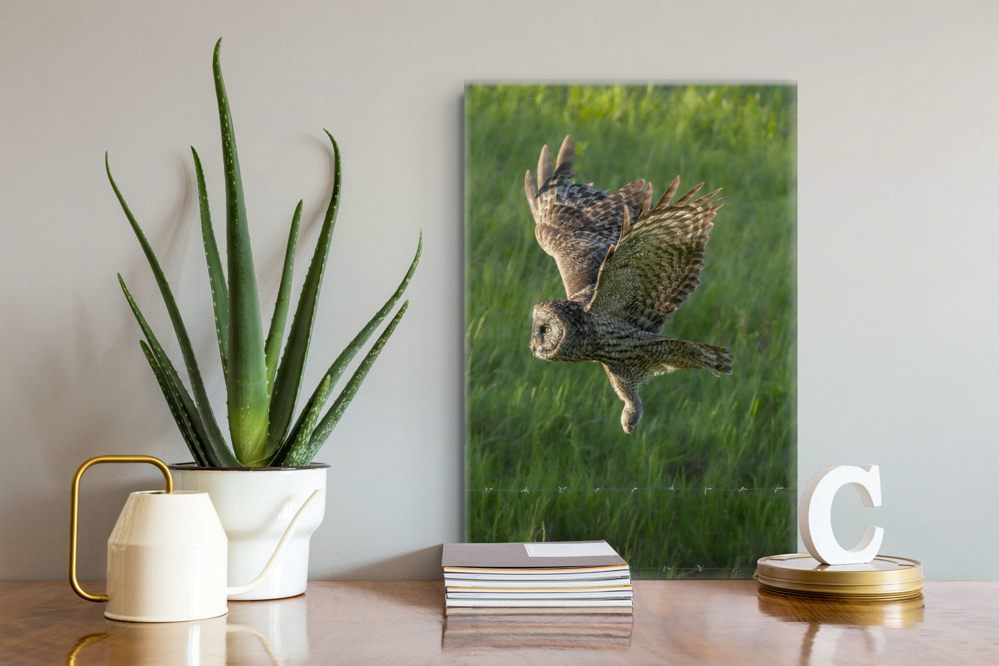 Great Grey Fly By 9615