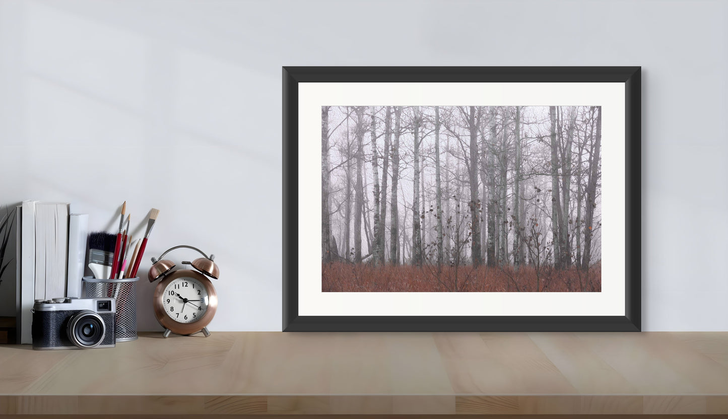 Sleeping Birches Trilogy - 1