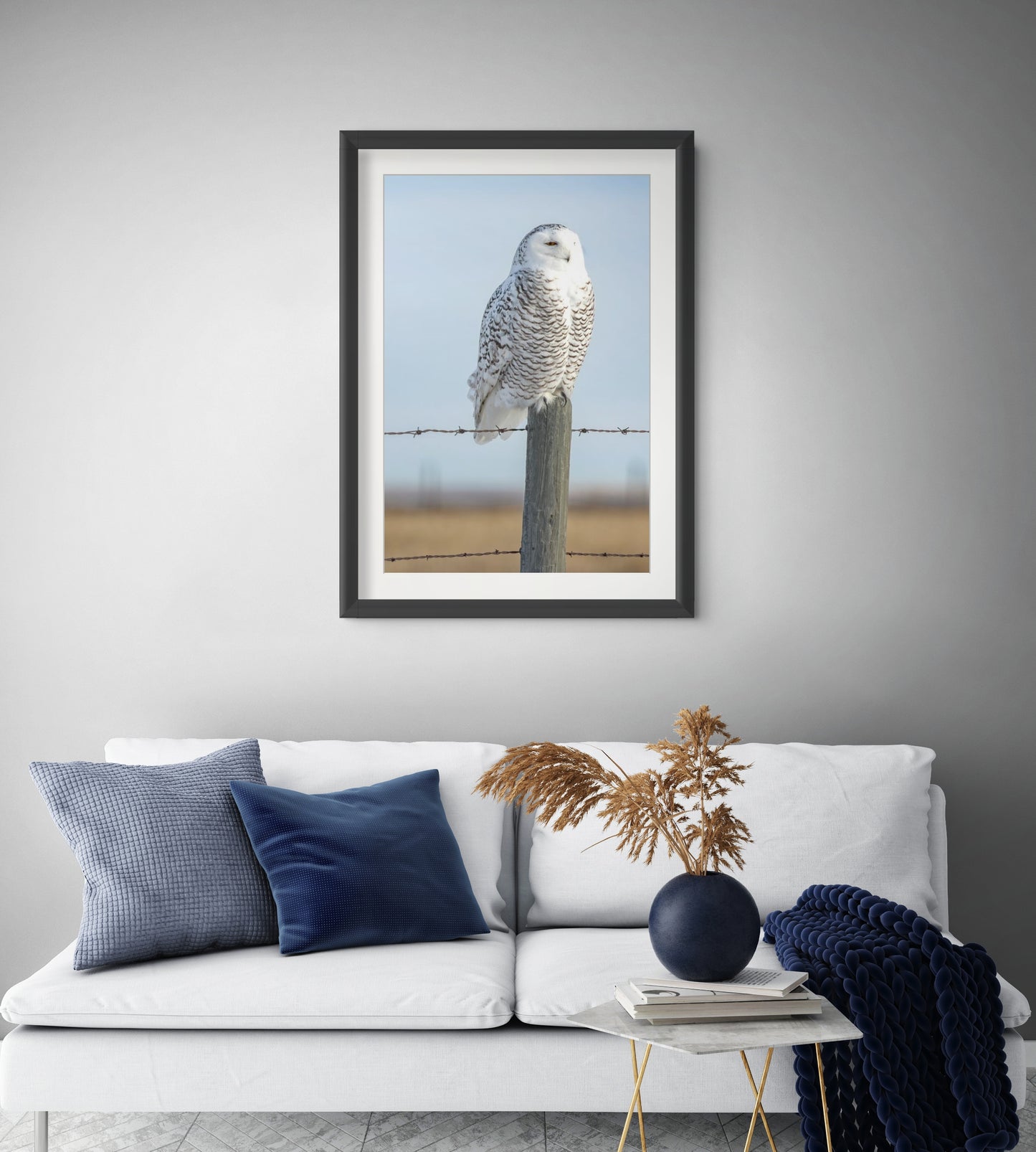 Snowy Owl 1599_P